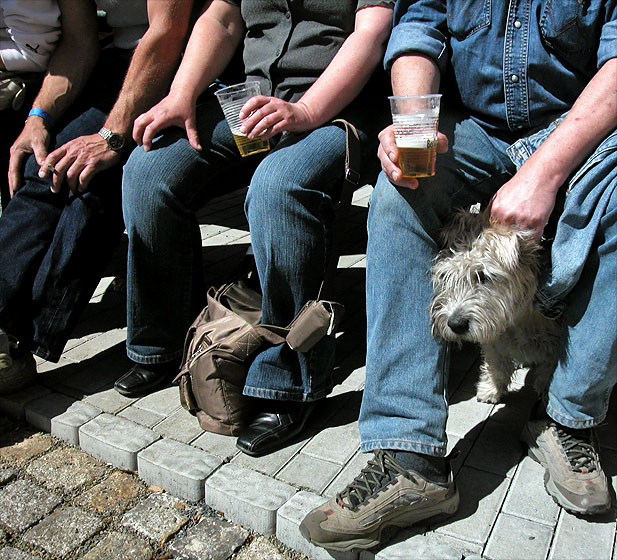 Hund.