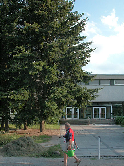 Wolfsburger Weg, Sch&auml;tzelberg-Grundschule