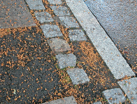 Wolfsburger Weg, Stra&szlig;enbelag, Einfahrt, nach Regen 